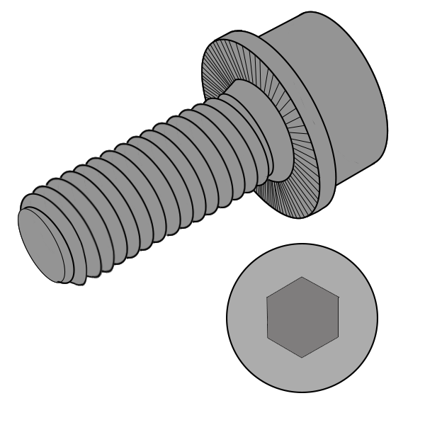 Socket Flange Lock Screw
